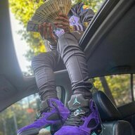 bridghtfolps