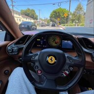 WE LIVE ONLY ONCE