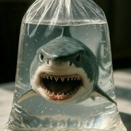 shredder_its