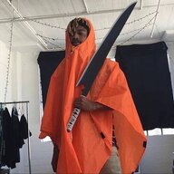 Sonicfox