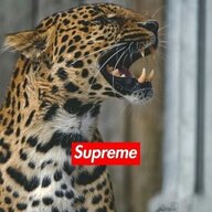 Bensooralio