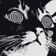 Dr.Pavlov