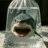 shredder_its
