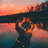 Fladmofx